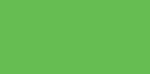 D261676 Green, 100 g. (transparent)