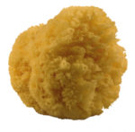 Sea sponge, natural, medium