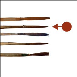 Sable, pointed, in duck quill