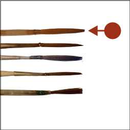 Sable, chisel-edged, in small goose quill