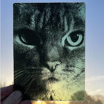 Screen Printing Master Class (6-7 Feb 2027)