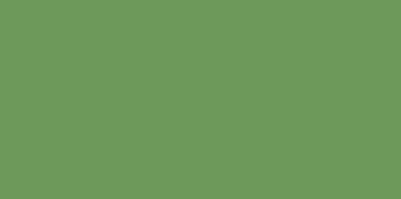 16M29 Green, 100 g. (metallic-interference)