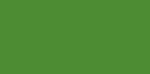 1641 Chrome green, 1 kg. (enamel)
