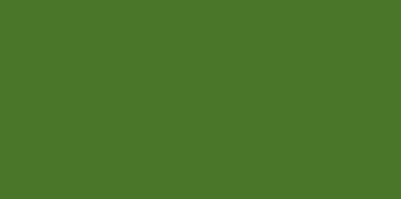 1841 Chrome green, 100 g. (resistant)