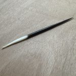 Porcupine quill / Stekel van stekelvarken